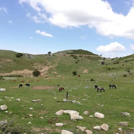 Olympus Dom wakacyjny