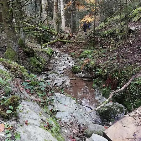 Olympus Dom wakacyjny