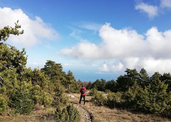Olympus Case de vacanță