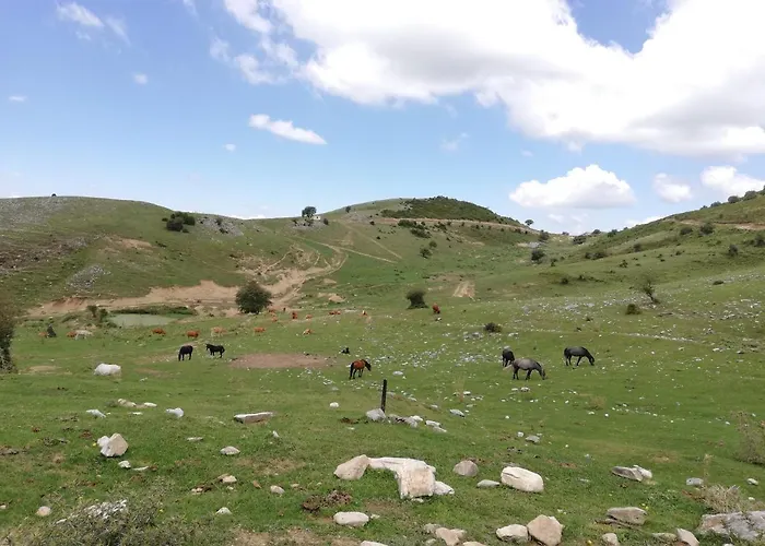 Olympus Hébergement de vacances
