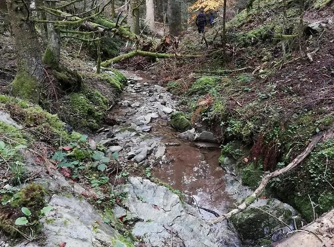 Olympus Hébergement de vacances