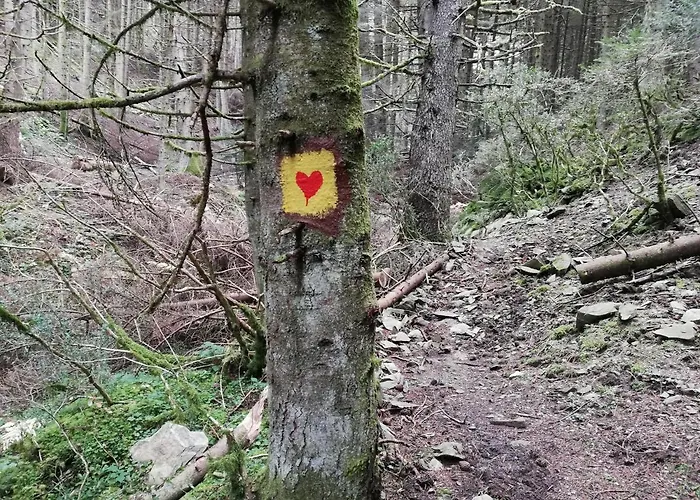 Olympus Karia (Thessaly)